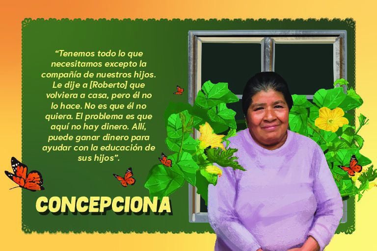 Concepciona Post Cards