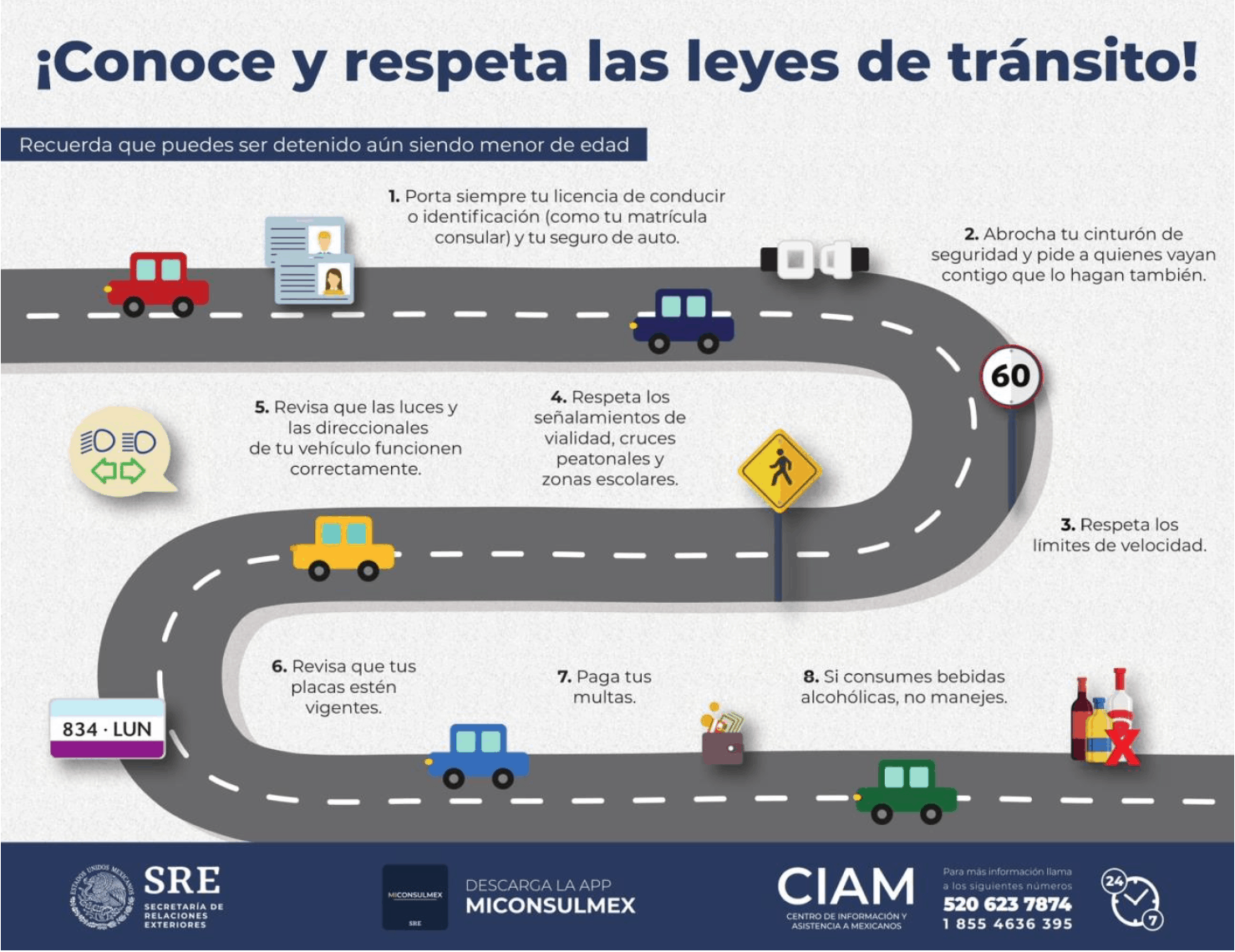 Manejo de Temas Legales y Manejar